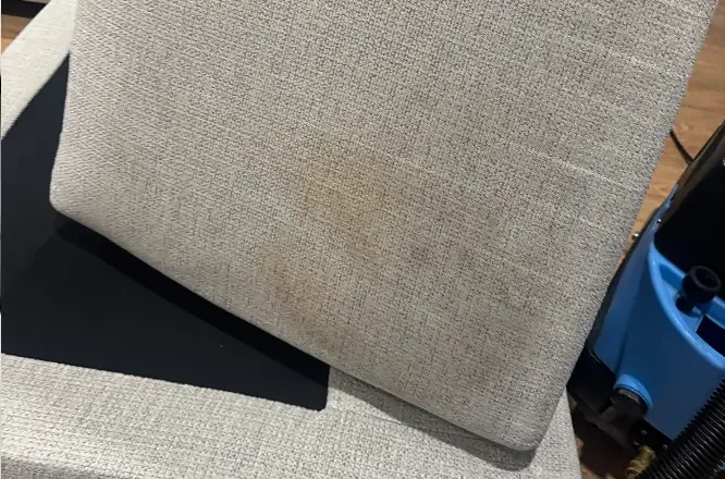 Close up of a stained fabric couch cushion before deep steam cleaning in Adelaide